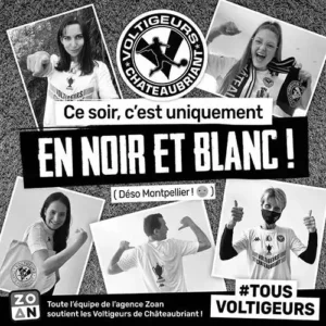 aller les voltigeurs